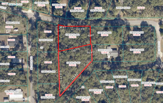 2 VACANT LOTS=1.03 ACRE FOR SALE IN OCKLAWAHA, FL