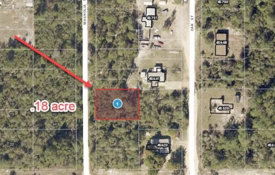 0.18 Vacant Acre Lot For Sale in Paisley, FL