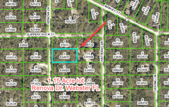 1.15-Acre Lot on Renova Dr in Webster, Florida